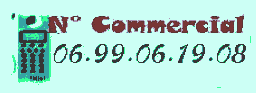 N° commercial : 06 99 06 19 08